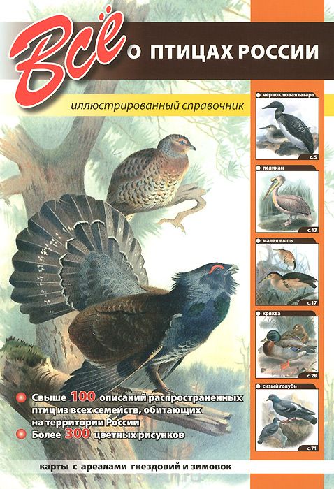Всё о птицах России