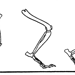 Скелеты конечностей стопоходящих (А), пальцеходящих (Б) и копытных (В) млекопитающих