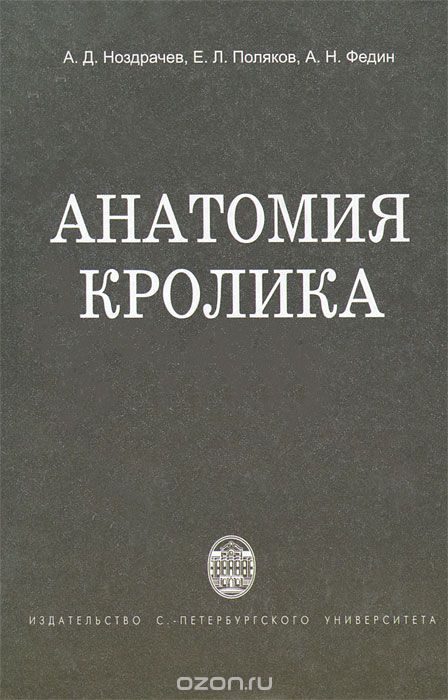 Анатомия кролика