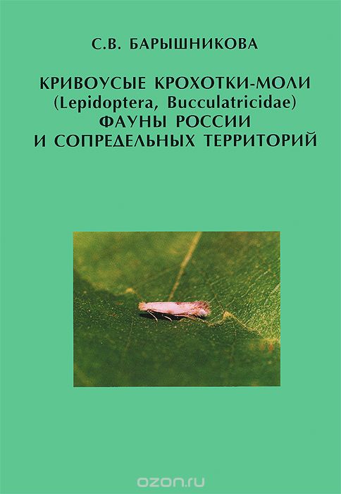 Кривоусые крохотки-моли (Lepidoptera, Bucculatricidae) фауны России и сопредельных территорий
