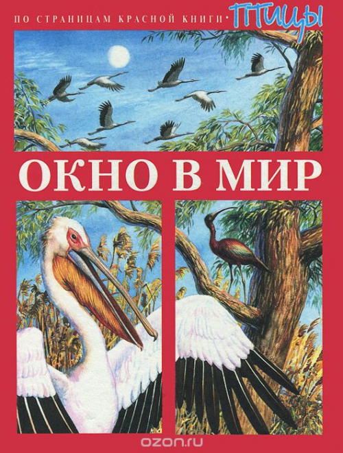 Окно в мир. По страницам красной книги. Птицы