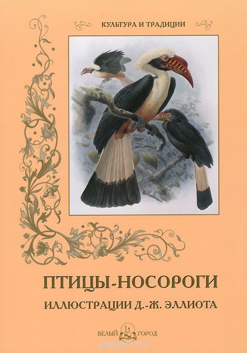 Птицы — носороги