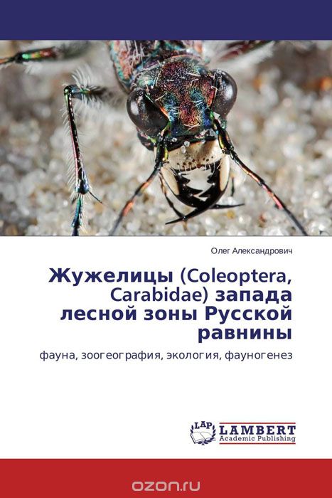 Жужелицы (Coleoptera, Carabidae) запада лесной зоны Русской равнины