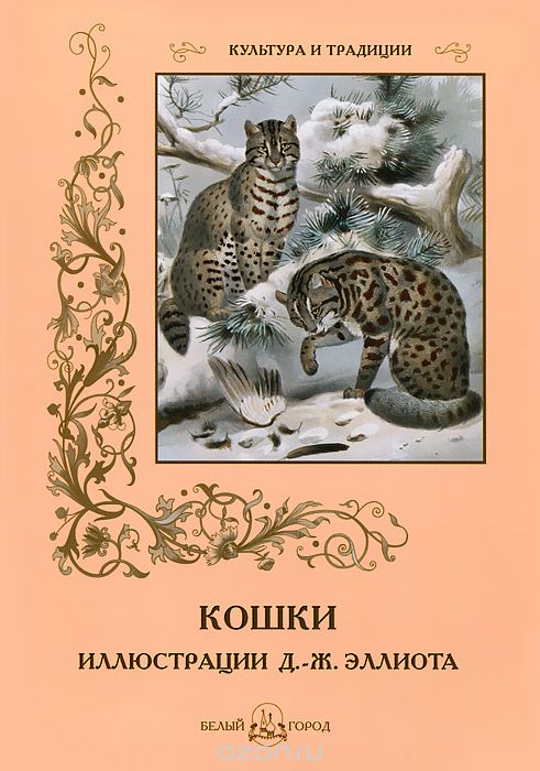 Кошки