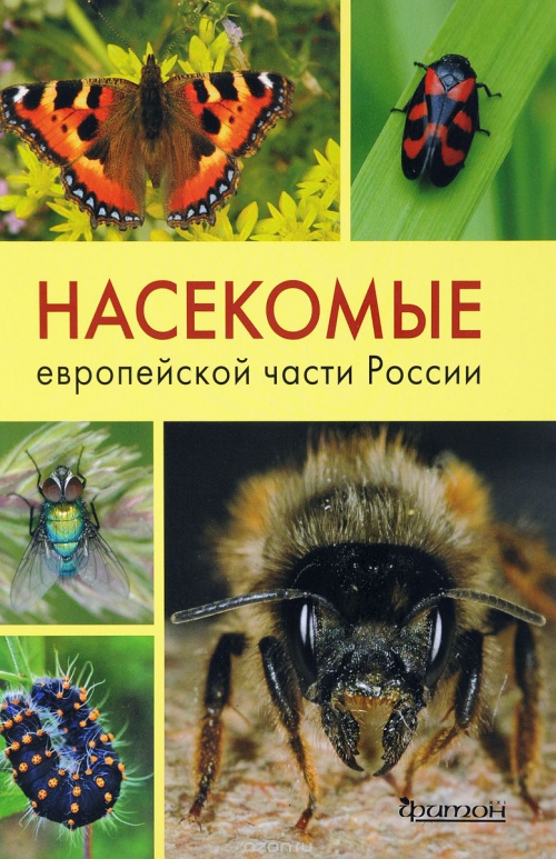 Насекомые европейской части России. Атлас с обзором биологии