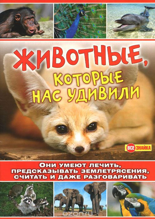 Животные, которые нас удивили