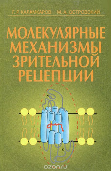 Молекулярные механизмы зрительной рецепции