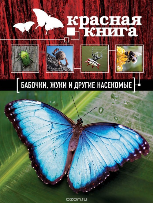 Красная книга. Бабочки, жуки и другие насекомые