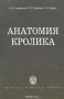 Анатомия кролика