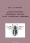 Пчёлы подсемейств Rophitinae и Nomiinae (Hymenoptera, Halictidae) России и сопредельных территорий