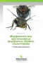 Морфология яиц круглошовных двукрылых (Diptera, Cyclorrhapha)