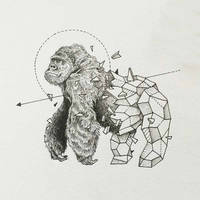 Зоология для учителя