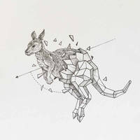 Зоология для учителя