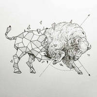 Зоология для учителя