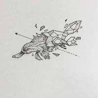 Зоология для учителя