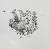 Зоология для учителя