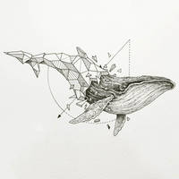 Зоология для учителя