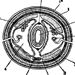 Схема поперечного разреза кольчатого червя
