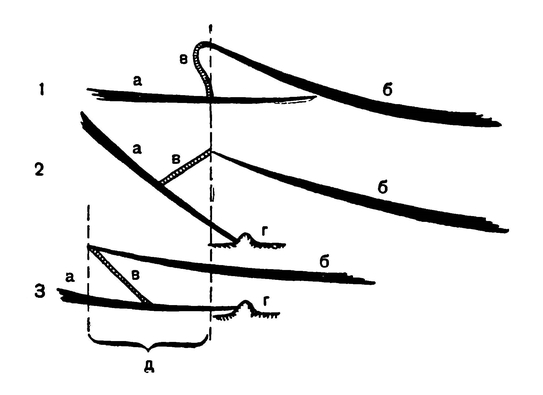 Различные положения брюшных щитков при передвижении змеи (схема)
