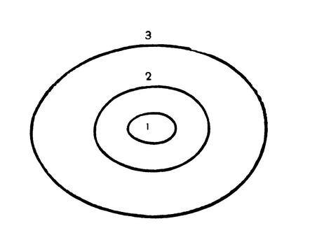 Сравнение размеров яиц курицы (1), страуса (2) и эпиорниса (3)