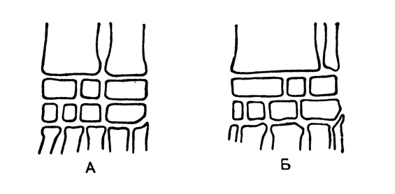 Схема инадаптивного (А) и адаптивного (Б) расположения костей запястья