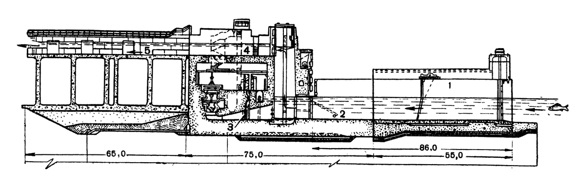 Волгоградский рыбоподъёмник (продольный разрез)