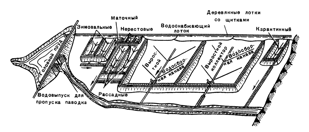 Схема карпового рыбопитомника с водоснабжением из головного пруда